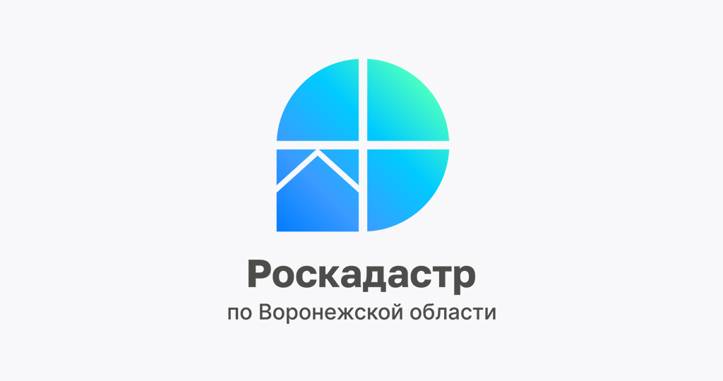 Воронежцев бесплатно проконсультируют по вопросам межевания и электронным услугам.